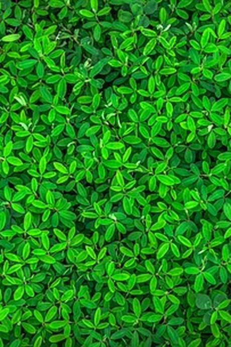 Atelier - La vie cachée du compost