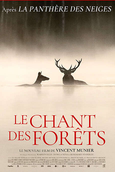 Exposition VINCENT MUNIER - Le Chant des Forêts
