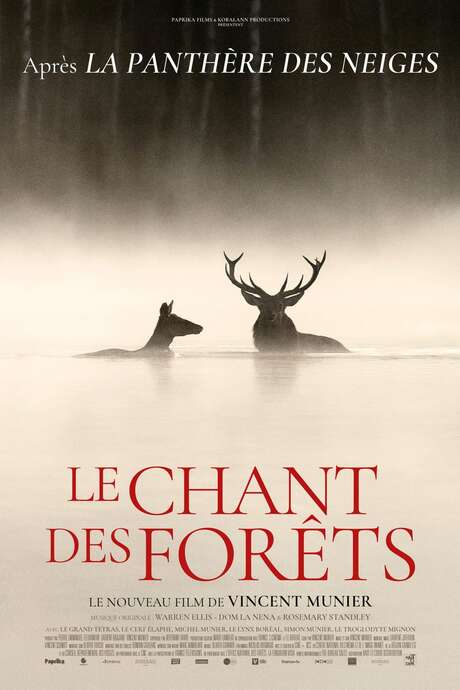 Cinéma le chant des forêts