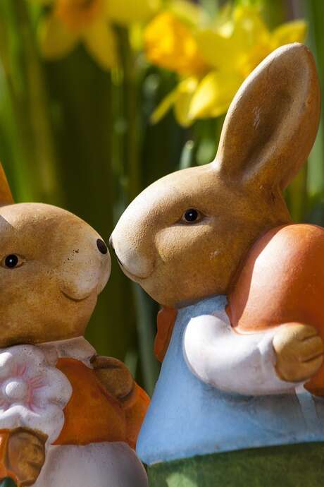 Mission  Lapins 3 oreilles  à Pâques - chasse aux oeufs