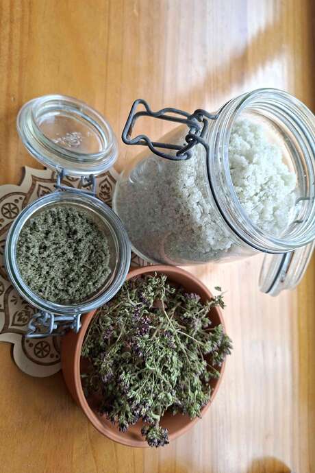 Stage plantes médicinales