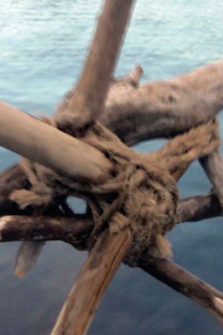 Exposition Ciel, Ruisseau, Racines