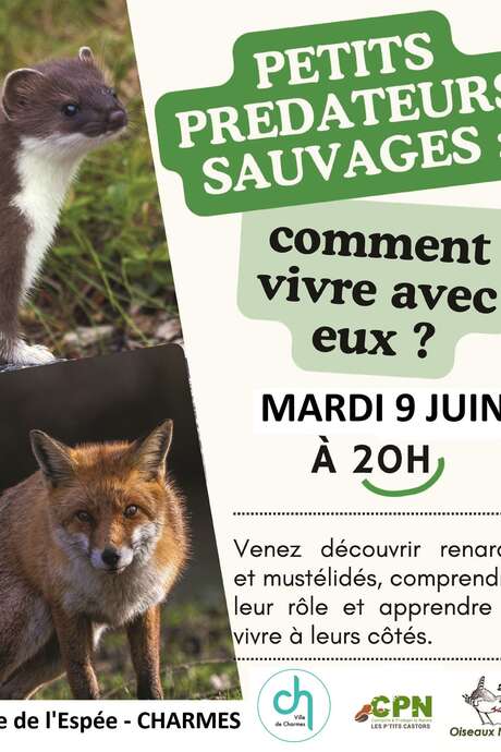 Conférence petits prédateurs sauvages