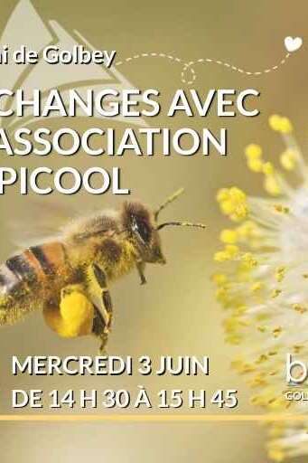 Échanges avec l'association APICOOL