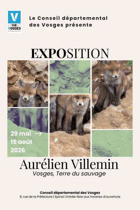 Exposition de photographie : Aurélien Villemin - Vosges, Terre du sauvage