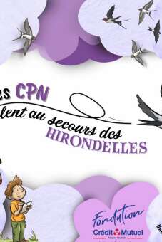 Enquête les hirondelles