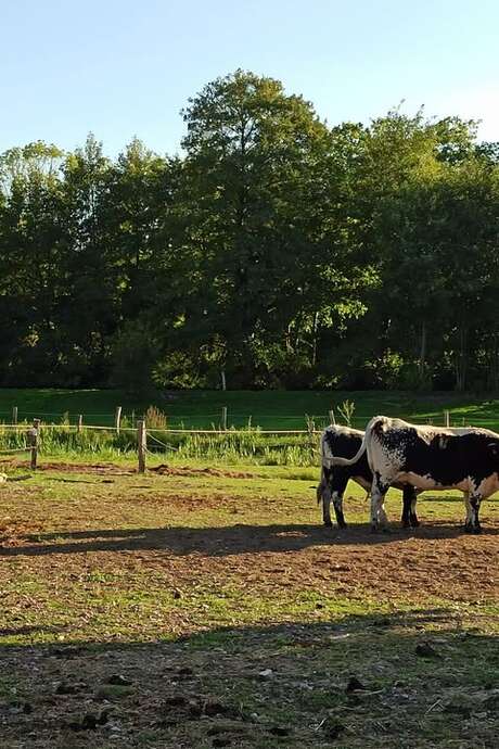 Fête de la ferme