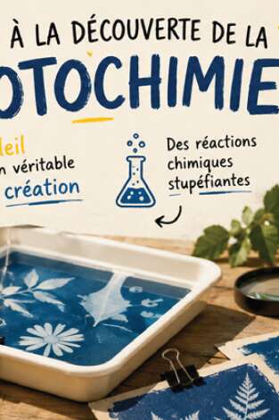 Atelier Scientifique « Photochimie»