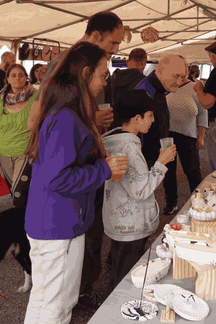 Marché de Producteurs et artisans locaux