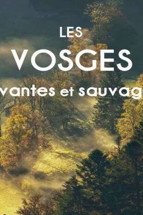 Conférence « Les Vosges Vivantes et Sauvages »
