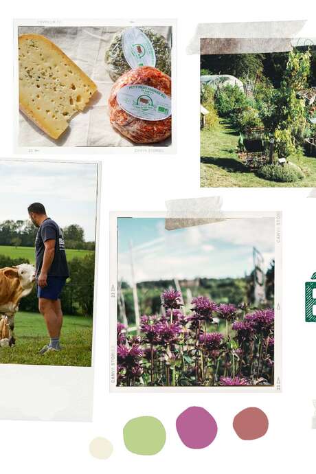 Excursion escapade gourmande à la découverte d’une forêt comestible