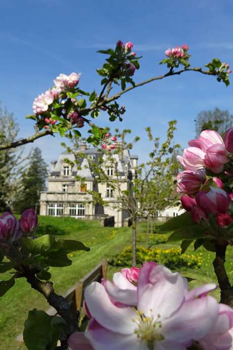VISITE GUIDEE DU CHATEAU DES BRASSEURS