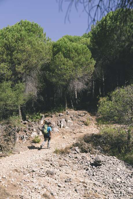 Conférence Les chemins de Compostelle