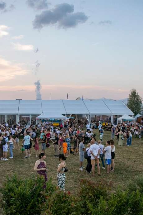 Cinéma en plein air et spectacle de clôture