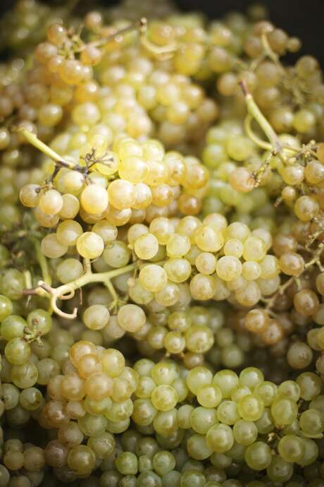 Salon du Vin