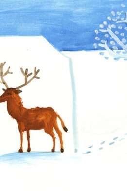 Cartes à écrire, cartes à offrir