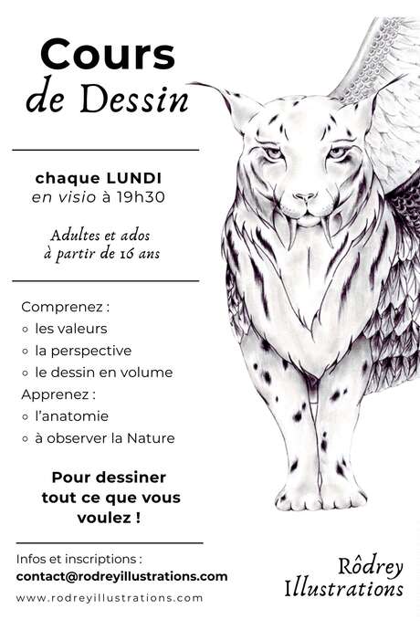 Cours de dessin : Les fondamentaux