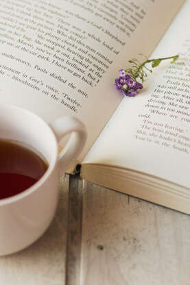 Rencontre avec Vincent Crouzet