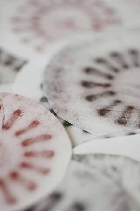 Atelier artistique transmission