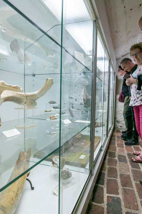 Journées Européennes de l'Archéologie