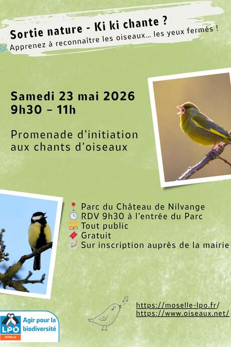 Promenade d’initiation aux chants d’oiseaux