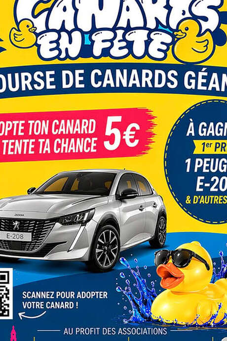 Canards en fête