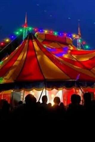 Les rendez-vous du cirque