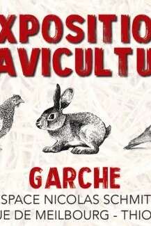 Exposition Avicole