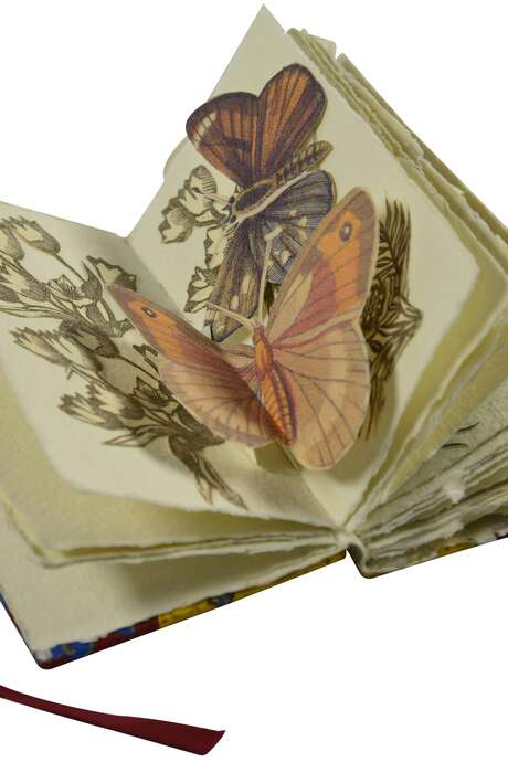 Livres d'artistes La nature à l'oeuvre