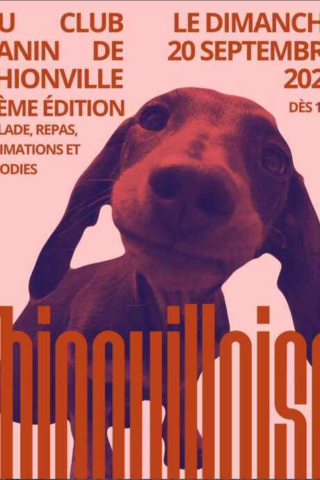 La Thionvilloise des teckels