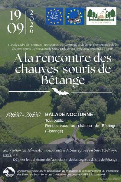 À la découverte des chauves-souris de Bétange