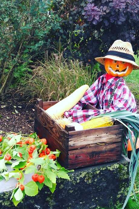 Visite du jardin hanté