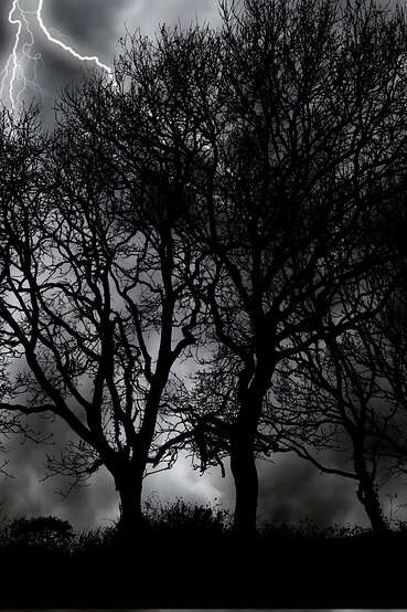 Balade nocturne sur la réserve naturelle à Montenach