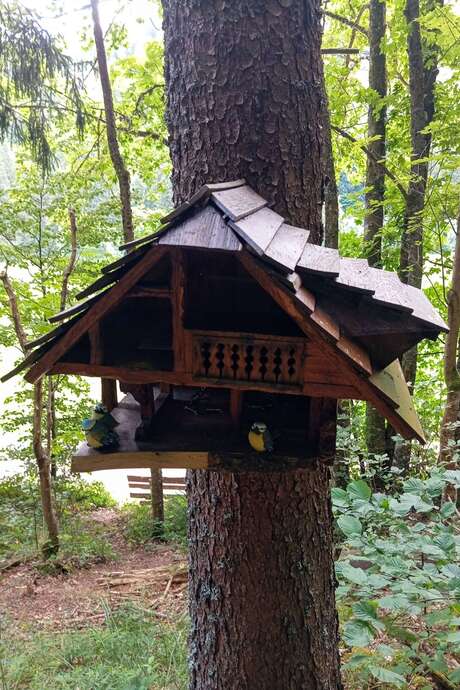 Initiation GEOCACHING