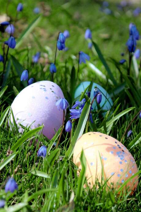 Chasse aux Œufs au Château Saint Sixte