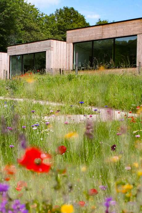 Les forêts du Grand Est à l'épreuve du changement climatique