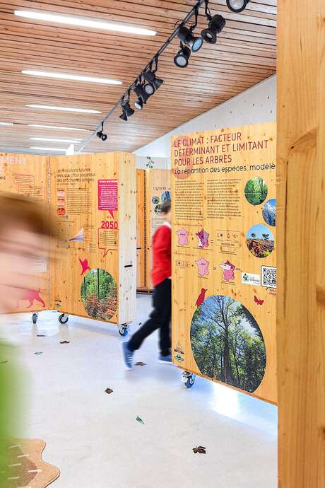 Les forêts du Grand Est à l'épreuve du changement climatique