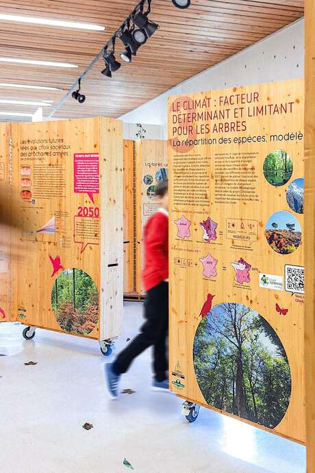 Exposition - Les forêts du Grand Est à l'épreuve du changement climatique
