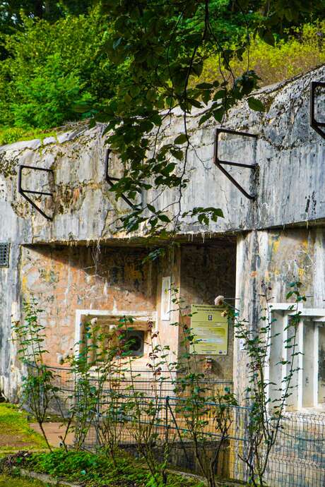 Visite guidée de l'ouvrage du Michelsberg