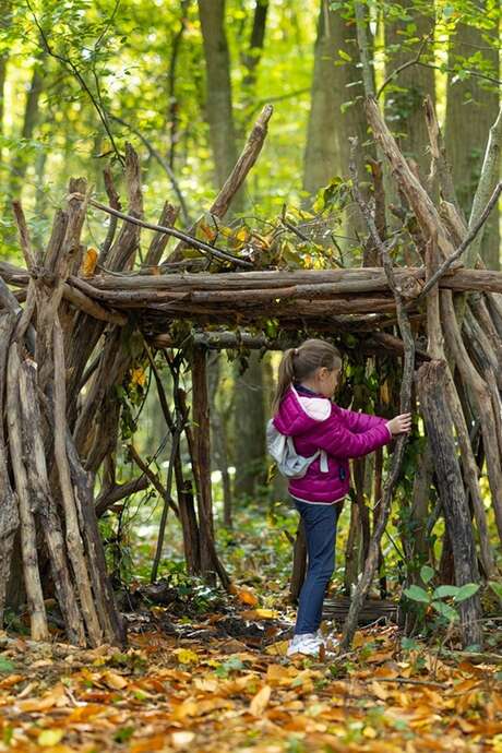Ta cabane en forêt