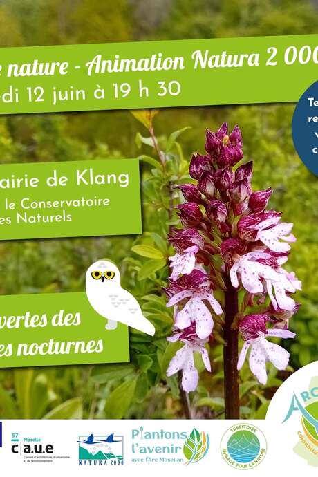 Balade Nature - Animation Natura 2000