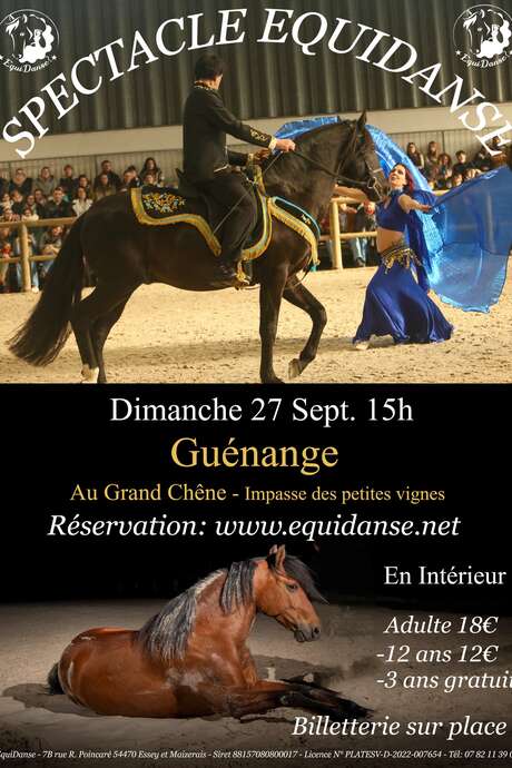 Spectacle EquiDanse