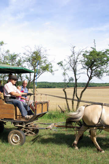 La passion de Papy