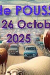 Foire commerciale et agricole