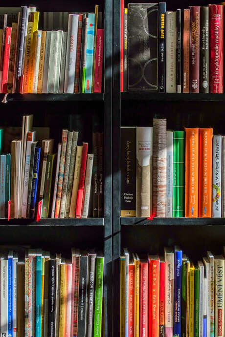 Bibliothèque municipale