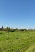 Vergers conservatoires et pédagogiques