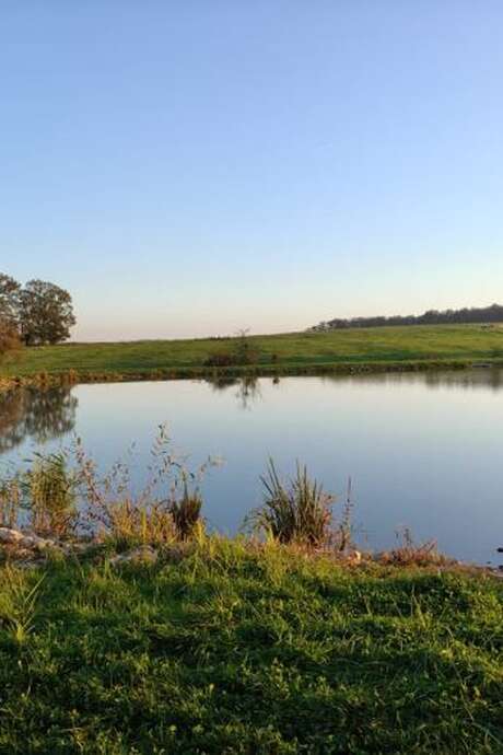 Étang de la grâce - pêche