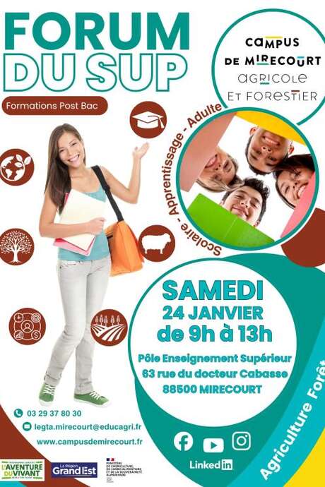 Forum du sup (formations post bac)