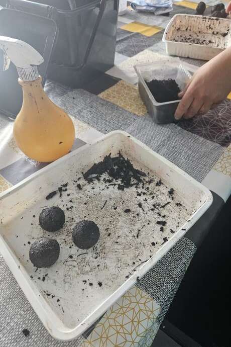 UN MOIS UNE ACTION : FABRICATION DE BOMBES À GRAINES