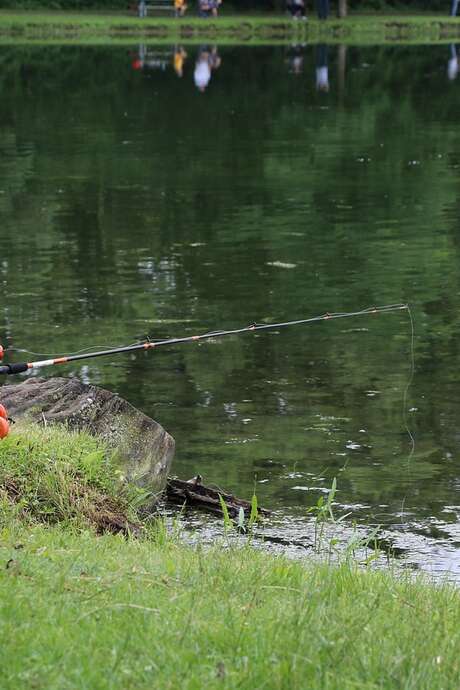Ambiance tes vacances été - pêche à l'étang de Grâce de Valleroy aux Saules